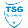 Logo TSG Sprockhovel