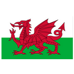 Logo Wales Indoor Soccer