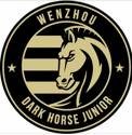 Logo Wenzhou Professional