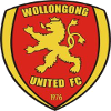 Logo Wollongong United